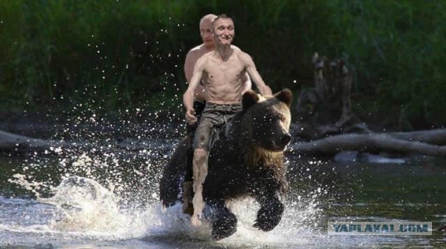 Летняя фотожаба