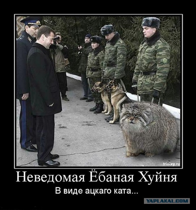 Нахлынуло.