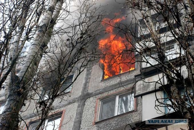 Новогодняя сказка в обычной квартире