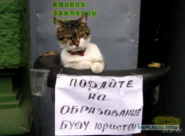 Смешные картинки, приколы, комментарии и прочее...