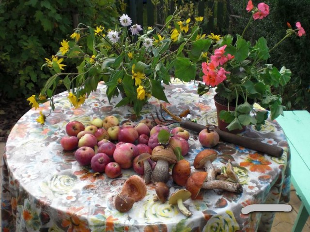 Немного летнего позитива