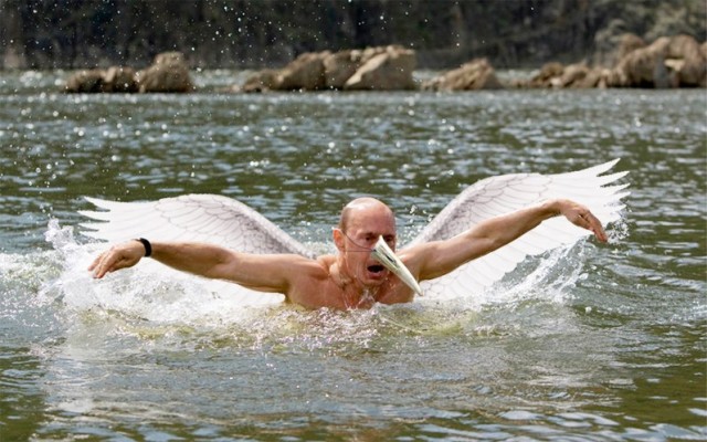 Путин с клювом в халате возглавил журавлиный клин