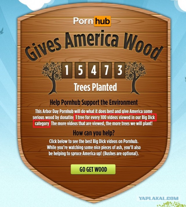 Pornhub будет сажать по одному дереву, за каждое 100 просмотренное видео