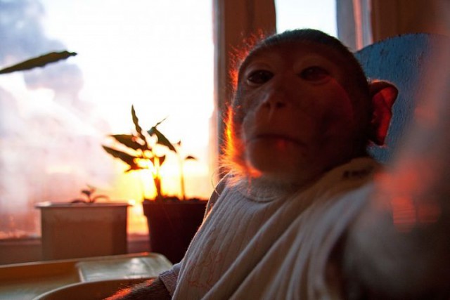 Картинки из сети (07.04.16)