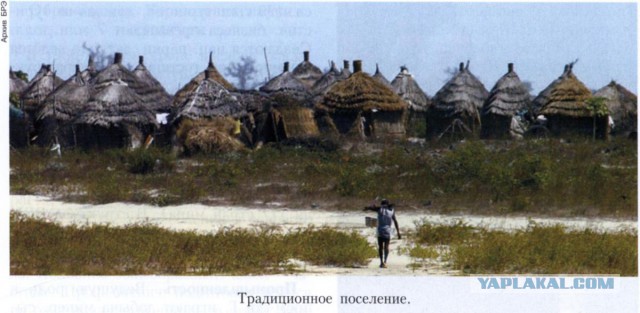 Каким иностранцы видят Путина
