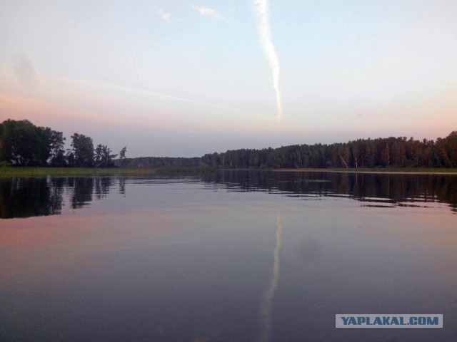 Острова Обского моря уплыли от чиновников в частные руки