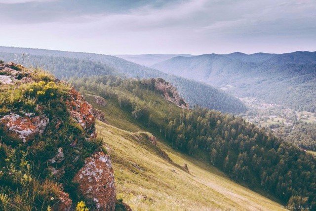 Порция картинок