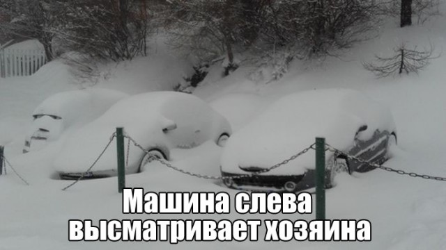 Подборка безудержного веселья
