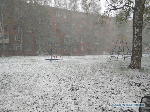 Новосибирск завалило снегом. Какой город следующий?