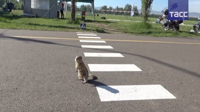 Для тех, кто устал от новостей из Москвы.