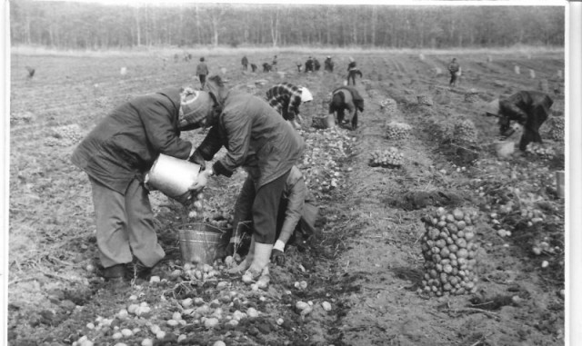Интересные и редкие ретро-фотографии