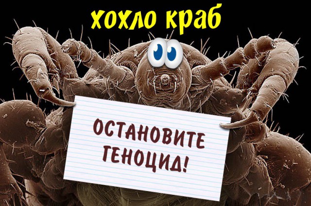 Картинок пост