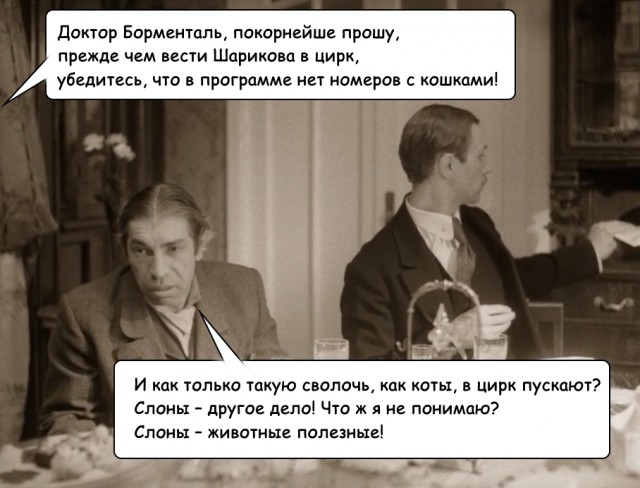 Кошки или собаки?