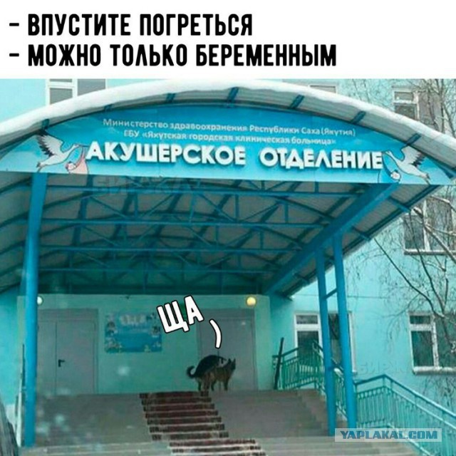 Не очень адекватный юмор