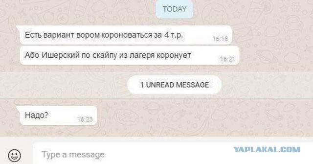 Сотрудники МУРа задержали на Рублевке с кокаином одного из влиятельнейших «воров в законе» Каху Гальского