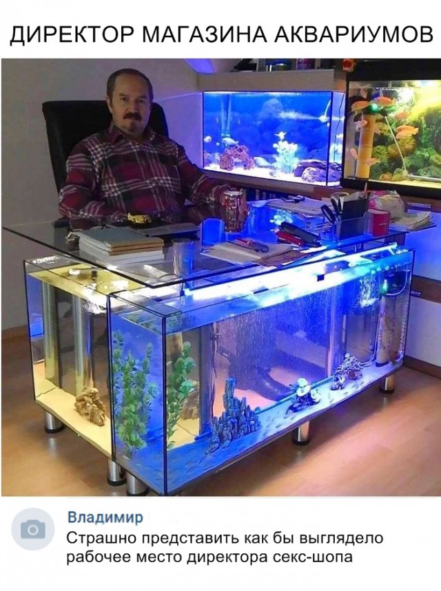 Нестандартный юмор