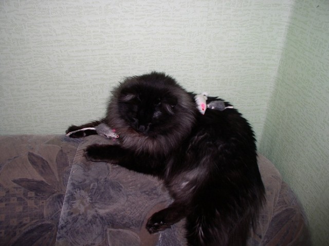 Худший охотник в мире