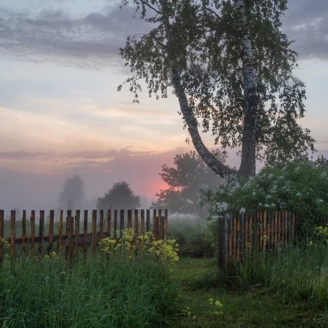 Аромат каждой из этих 20 фотографий вызывает очень сильную ностальгию