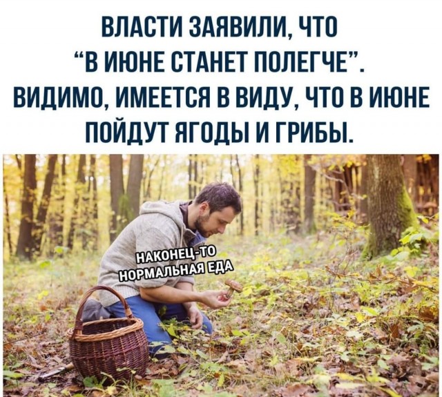 https://s00.yaplakal.com/pics/pics_preview/6/9/5/14285596.jpg