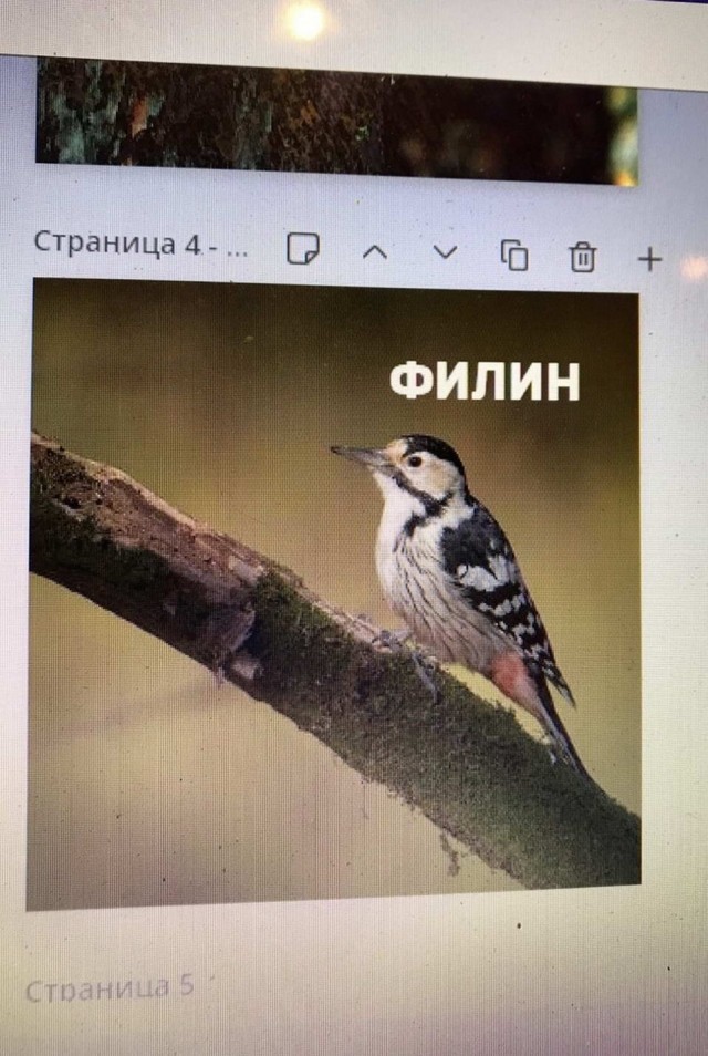 Картинки разные нужны, картинки всякие важны!