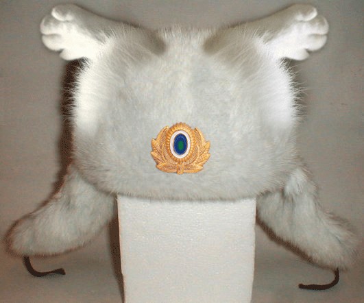 Фотожаба: Ноги котэ