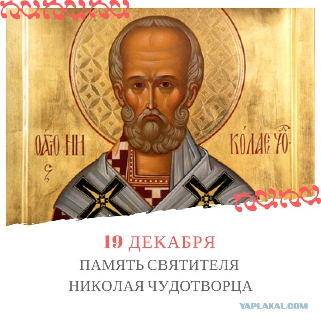 У жителей Приморского района Петербурга украли елки, чтобы посадить их у храма
