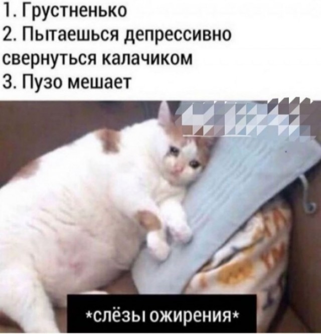 Картинки с надписями и всякие жизненные фразы 4.01.21