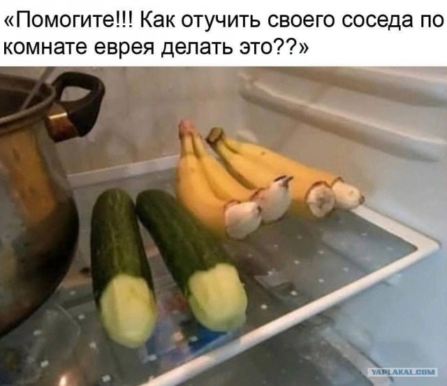 Фотосалат и картинки