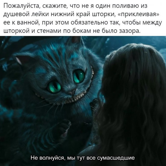 Весёлый полтишок 5.03