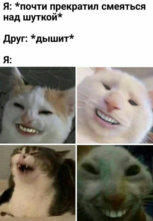 Весёлый полтишок 19.03