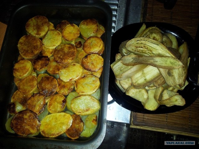 Пятничные посиделки на теплотрассе ©