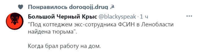 Весёлый полтишок 11.09