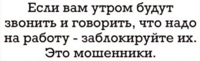 Весёлый полтишок 10.01
