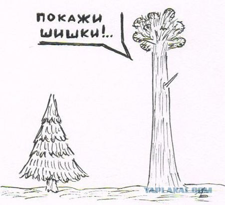 Елка с ЯПа