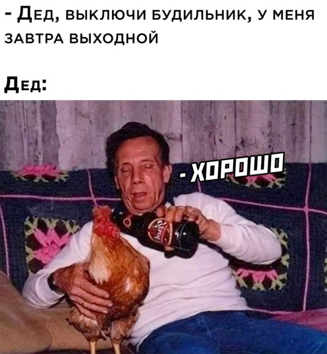Весёлый полтишок 01.04