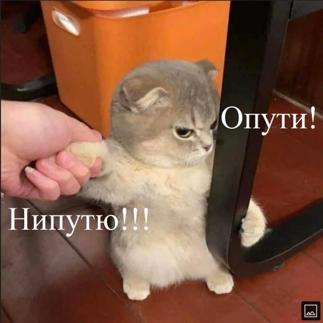 Нехочух