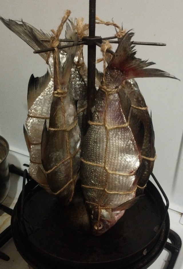Открыл сезон