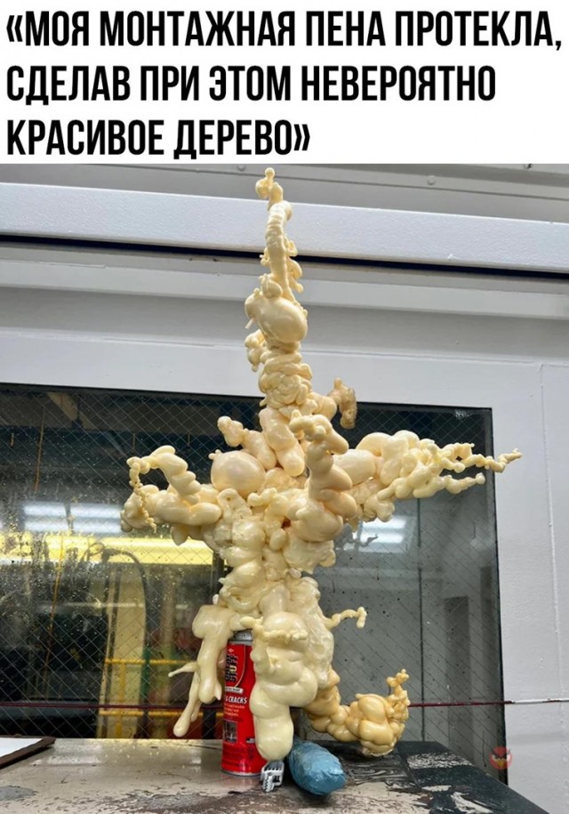 Так себе картинки 19.07.22