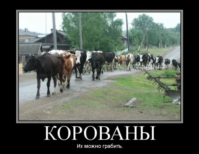 В Москве трое мигрантов избили и ограбили пассажира метро.