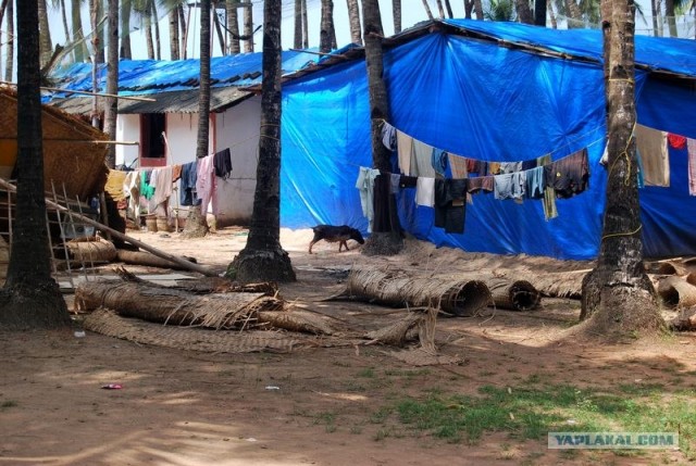 ГоА свои впечатления