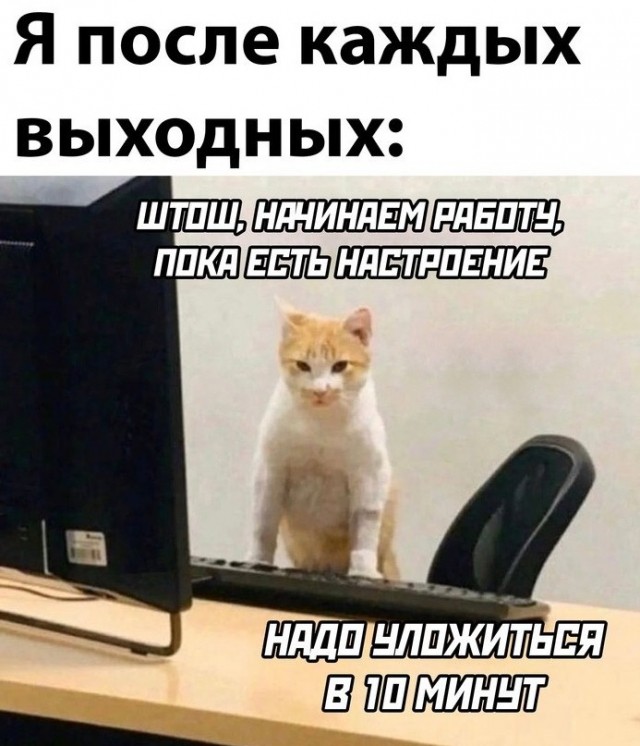 Картинки и мемы, всем хороших выходных