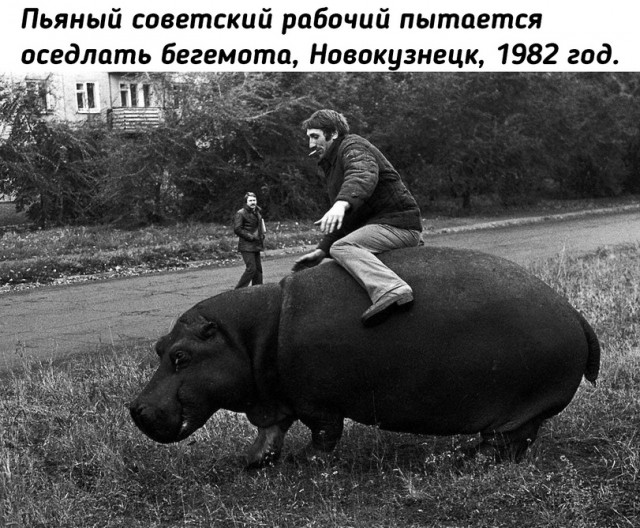 Околоалкогольные мемчики