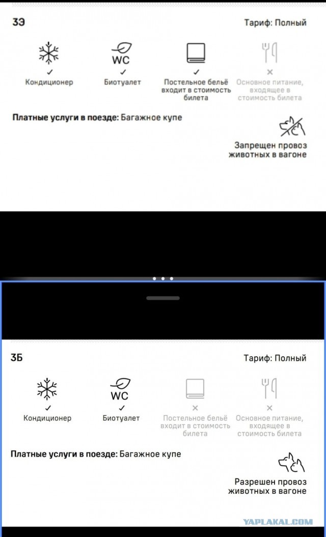 Высадили из поезда из-за того что был электронный паспорт, а не бумажный