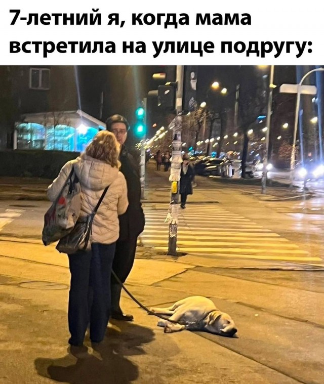 Картинки всяческие от 31.01.2024