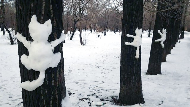 Котики из снега и котики на снегу