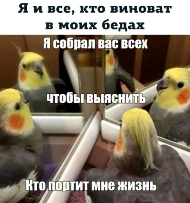 Завалялось тут случайно немного забавных картинок
