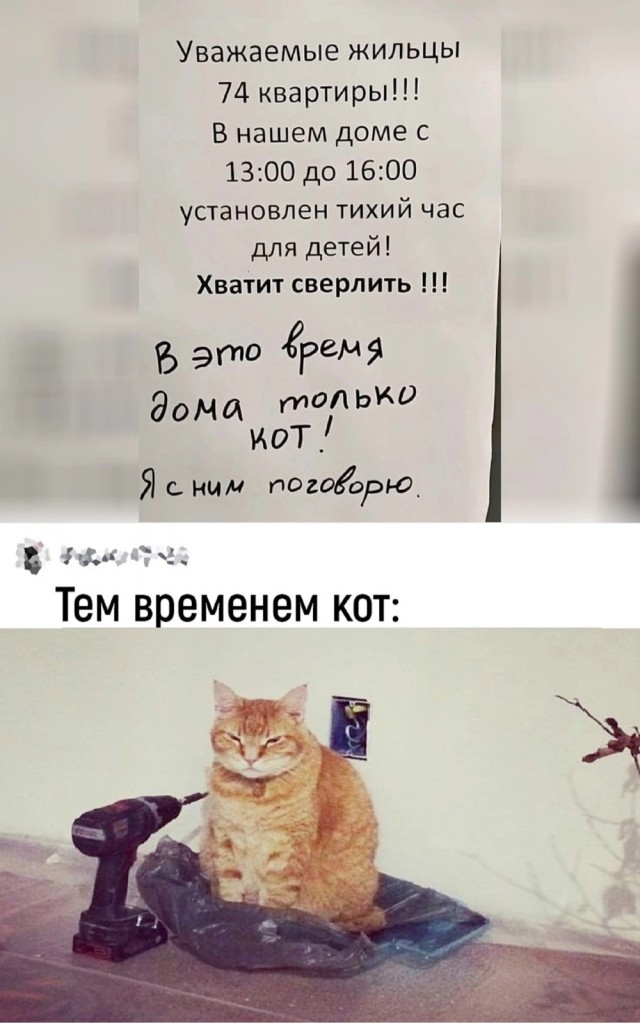 Так себе картинки 23.05.24
