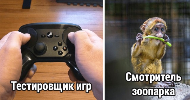 Профессии, которые не такие классные, как все думают