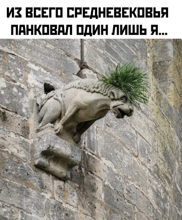Весёлый полтишок 02.07.24
