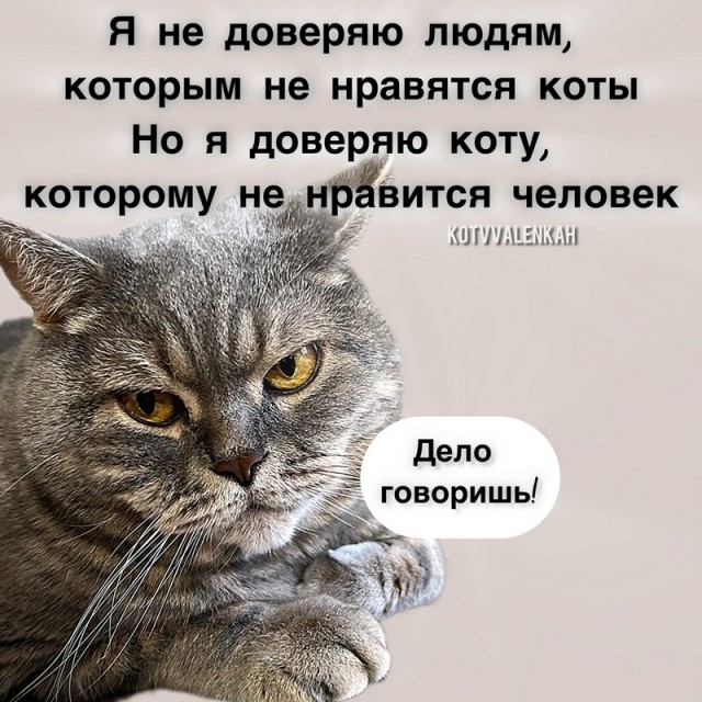 Завалялось тут случайно немного забавных картинок в субботу